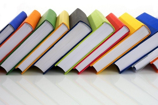 «Книжные новинки»