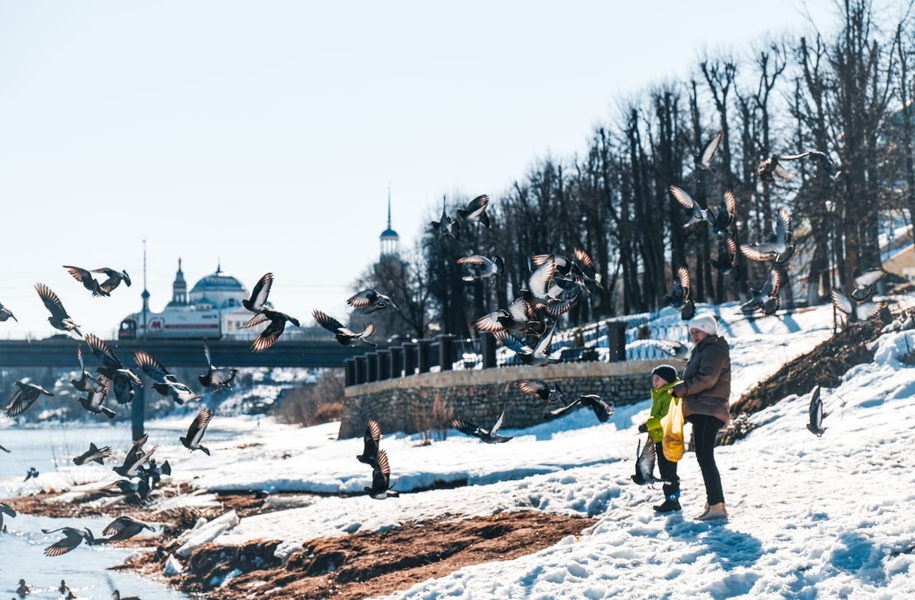 Обзорная пешеходная экскурсия "По Новоторжским улочкам"