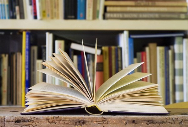 «По книжным морям, и морским волнам…»