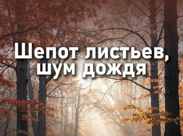 Шепот листьев, шум дождя