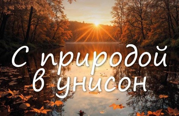 С природой в унисон