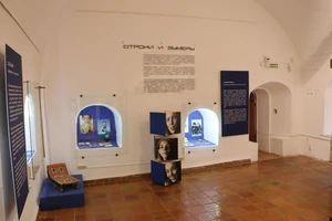 Выставка «Отроки и зумеры»