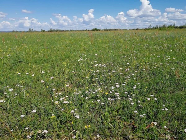 Познавательный час «По страницам истории малой родины»