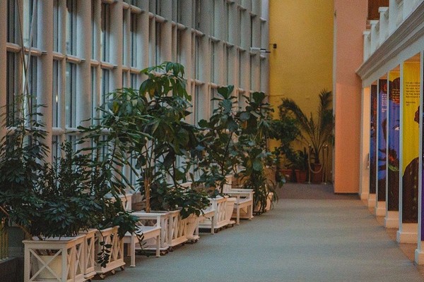 Орган и свечи. От Классики до Неоклассики