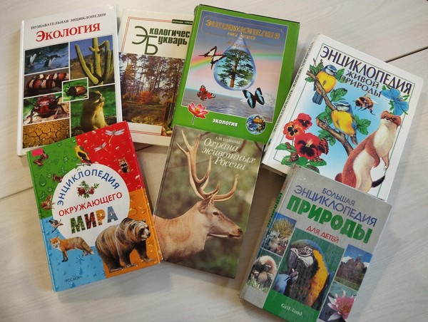 Интеллектуально-познавательная программа «Земля у нас одна»