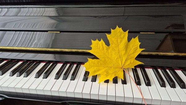 Концерт «Красивые мелодии»