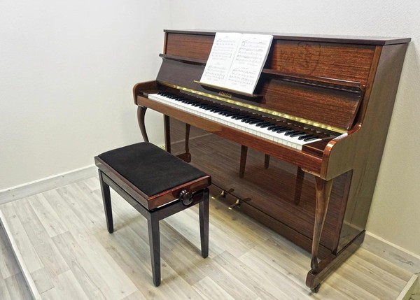 Мастер-класс «Работа над штрихами в классе фортепиано»