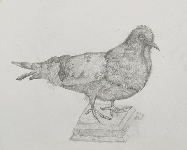 Виртуальная выставка «Декоративные крылья»