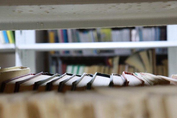 «От Белого до Чукотского моря: по морям Северного морского пути»