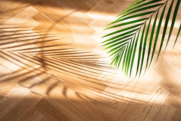 «Алисалэнд. 160 лет легенде»