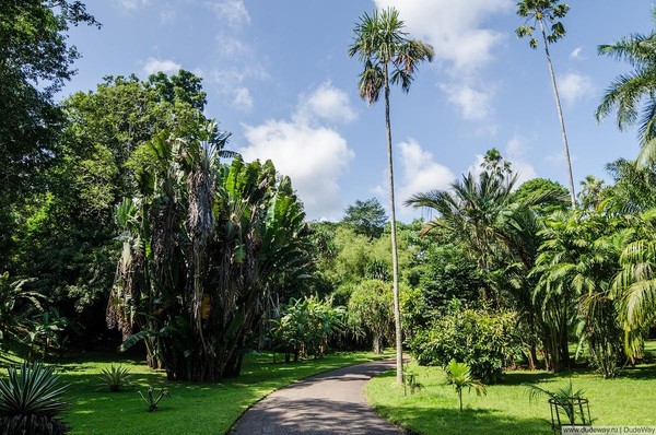 Беседа «Королевский сад»