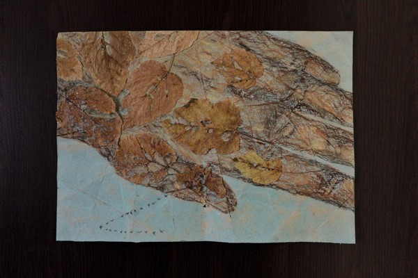 Вернисаж выставки «Шух-шух»