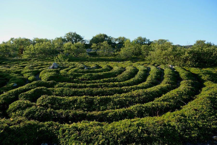 Философская игра «Лабиринт. Путь к себе»