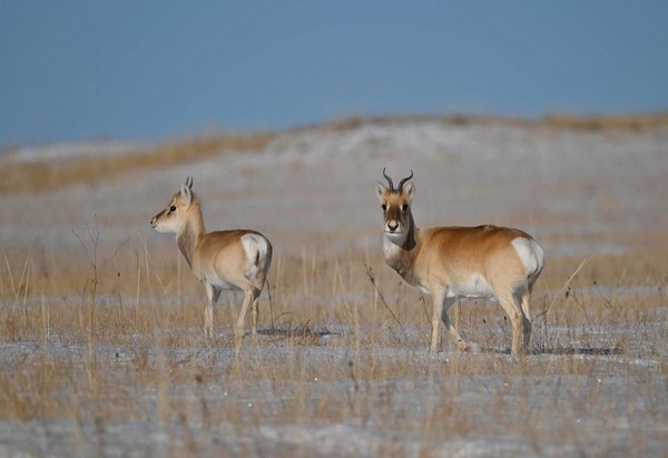 Фотовыставка «Вечные странники»