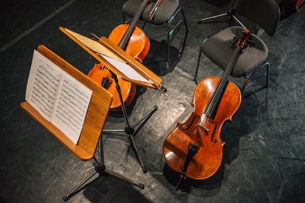 Цикл концертов лауреатов всероссийских и международных конкурсов