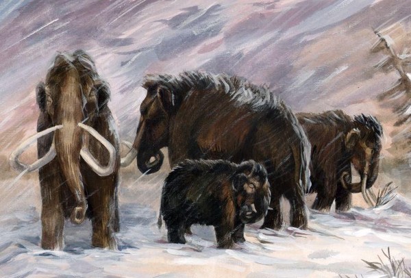 Выставка «Охотники палеолита: факты и гипотезы»