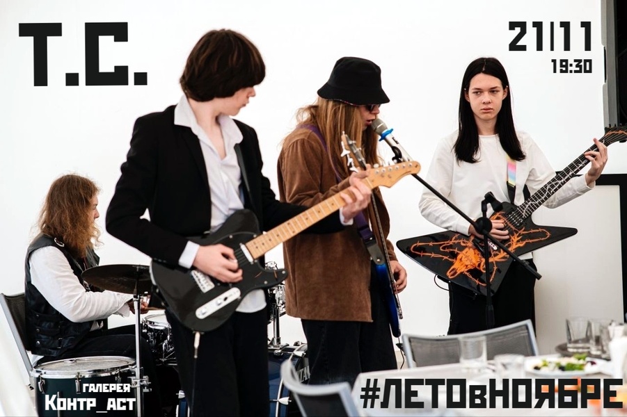 концерт группы Т.С.-  акустика