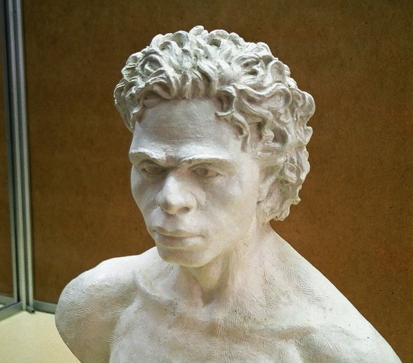 Экскурсия по выставке «Охотники палеолита: факты и гипотезы»