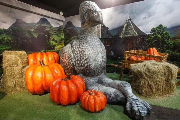 Музей Гарри Поттера. Комбо-квест