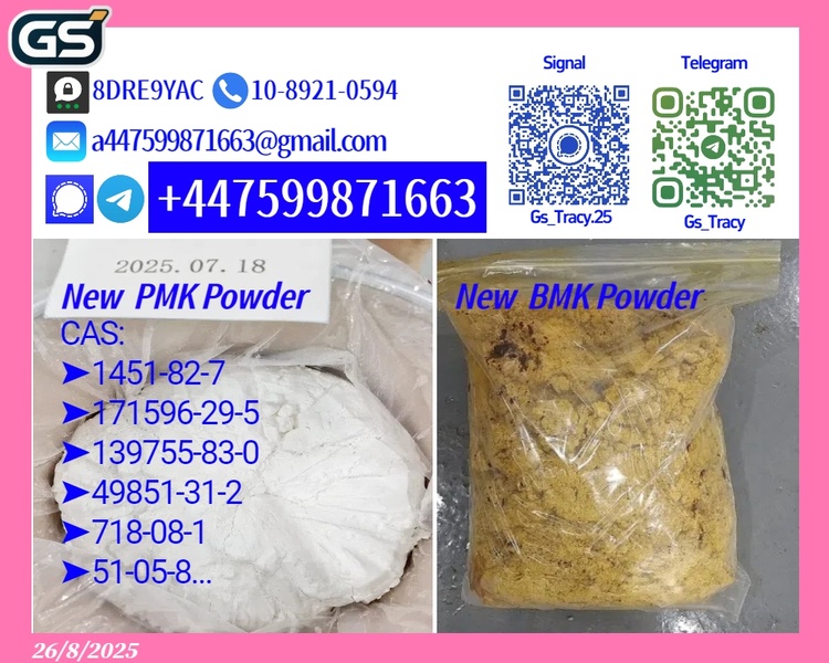 High-Purity New P.M.K 28578-16-7 B.M.K 5449-12-7 Chemicals Factory Direct