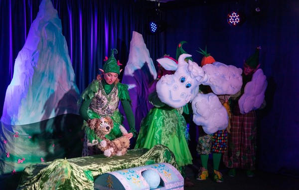 Приключения необыкновенной собачки