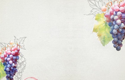 Винный салон VinoNotes