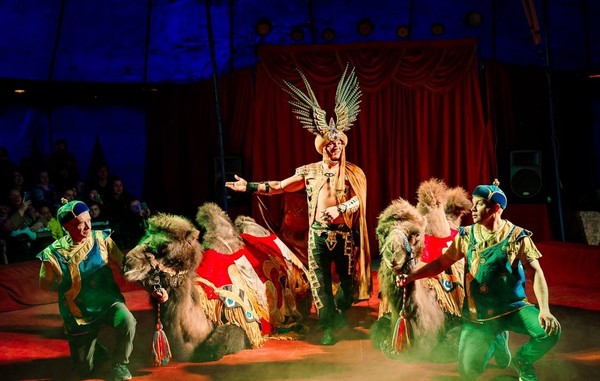 Цирк «Феникс»