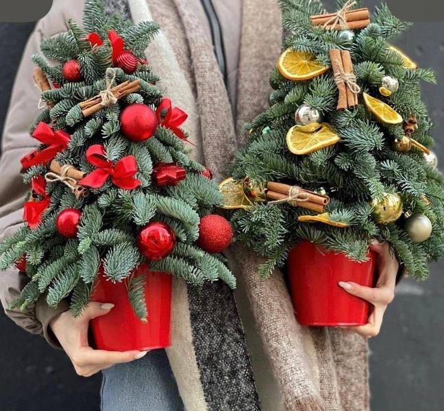 Новогодний мастер класс создание праздничной композиции из нобилиса