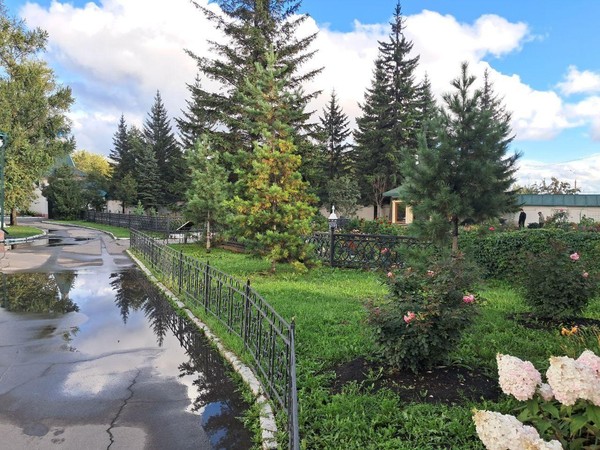 Волшебные, чарующие звуки