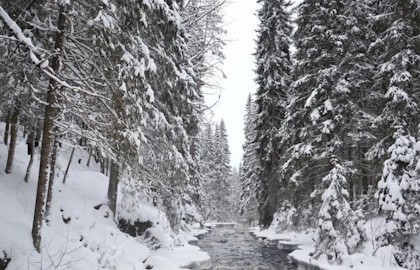 День в сердце Карелии: Рускеала и царство водопадов