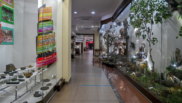 Экскурсия по экспозиции Краеведческого музея