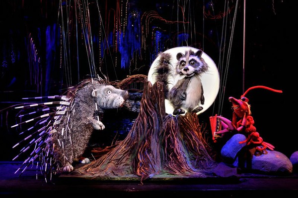 Крошка Енот