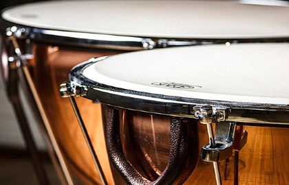 Придворная армия ударных