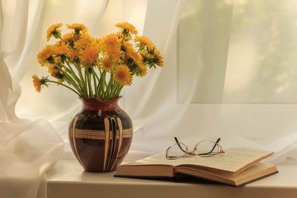 Выставка фотографий Натальи Кузнецовой «Непостоянство натюрморта»