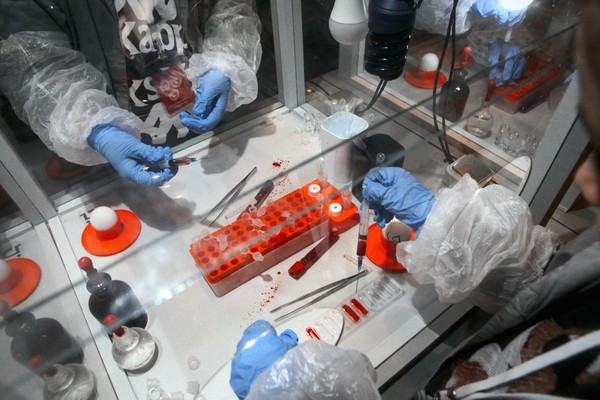 Эпидемия. Научная программа для детей