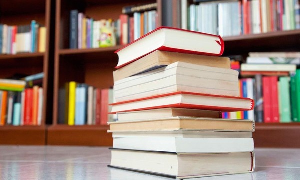 Программа «Мы правнуки твои, Победа!»