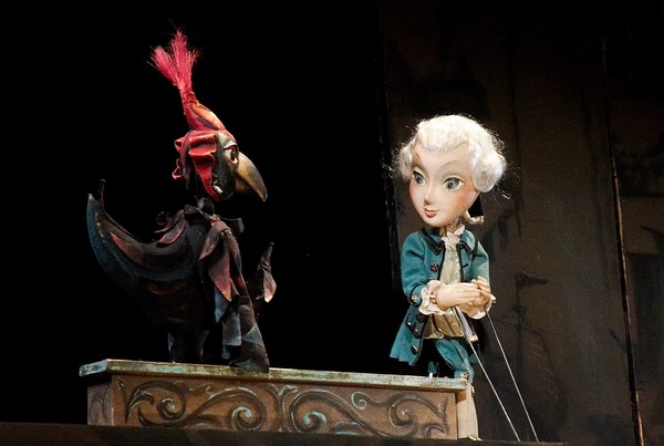 Чёрная курица