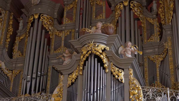 Всероссийский день органа