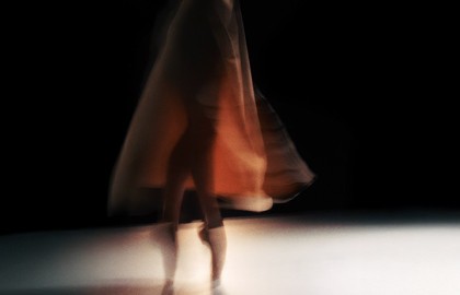 Nikola Melnikov Music For Flowers 2.0