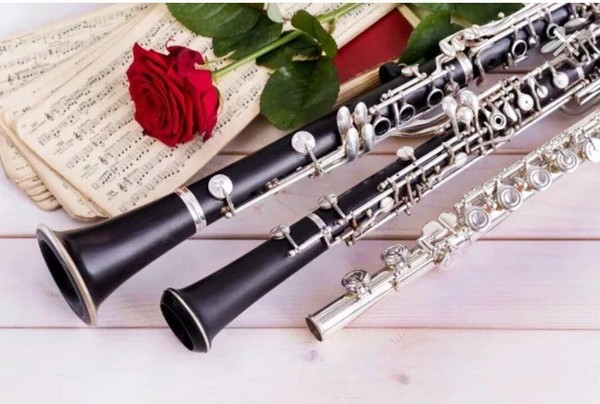 Межшкольный концерт юных исполнителей на духовых инструментах «Cantabile»