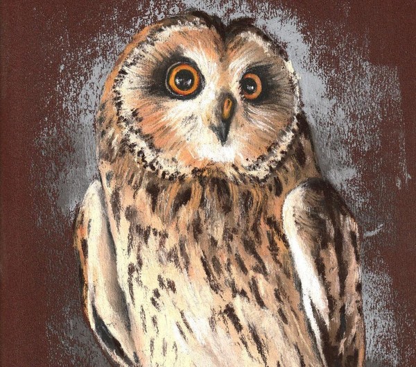 Арт-терапевтическое занятие «Сова»