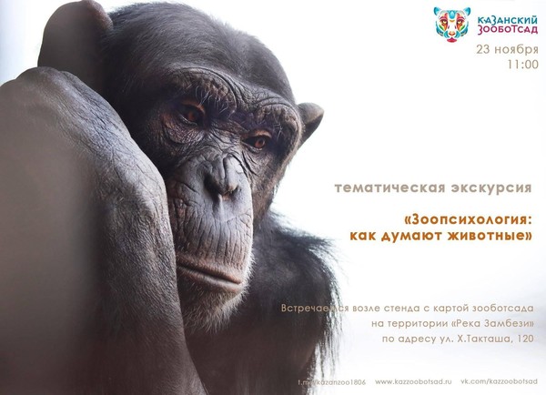 Тематическая экскурсия «Зоопсихология: как думают животные»