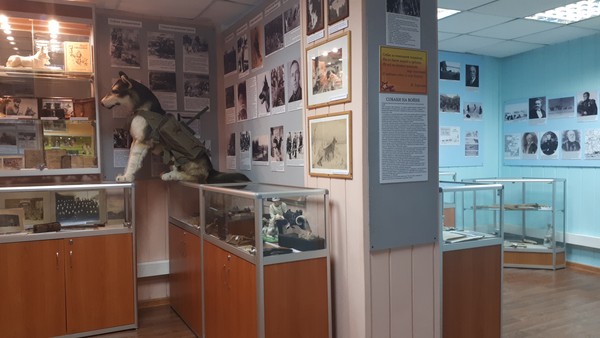 Обзорная экскурсия по музею