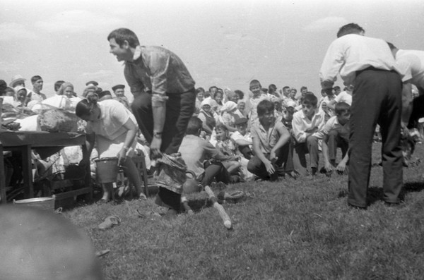 Выставка «Культура движения. Выставка о спорте, традициях и образе жизни»