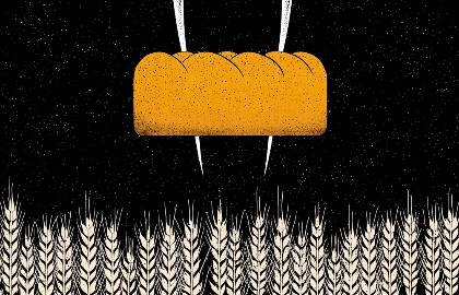 Алексей Финаев-николотов