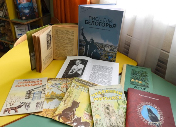 Встреча «Писатель родного края»