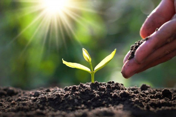 Познавательное занятие «Дети против пластика»