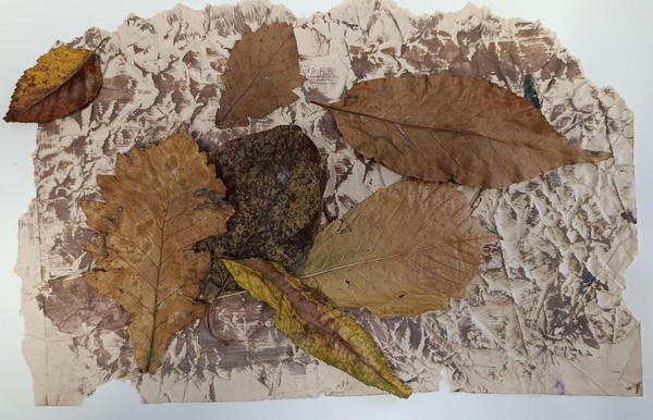 Мастер-класс «Букет из осенних листьев»