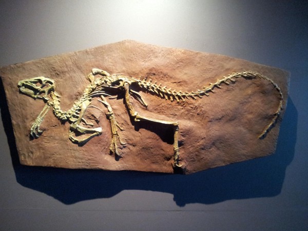 Музейный урок «Эпоха динозавров»