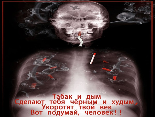 «Нет- курению!»